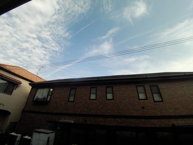 リブリ・式部の展望