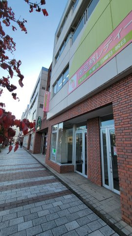 ヴェルミ1の外観