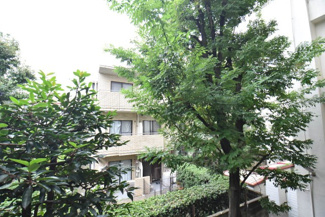 【展望】 | お部屋からの眺望。バルコニーからの景色です～即日のご見学可能～　お問合せはお気軽にどうぞ。