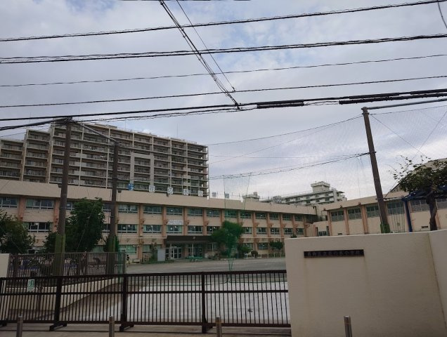 葛飾区南水元４丁目新築戸建【花の木小学校：8分】の周辺|花の木小学校まで610ｍ