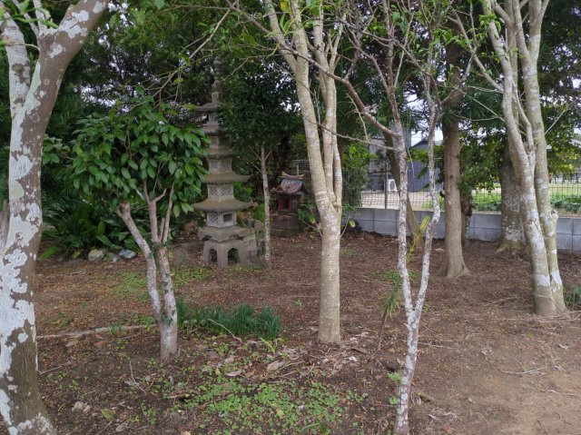 【庭】 | 山武市本須賀　中古戸建