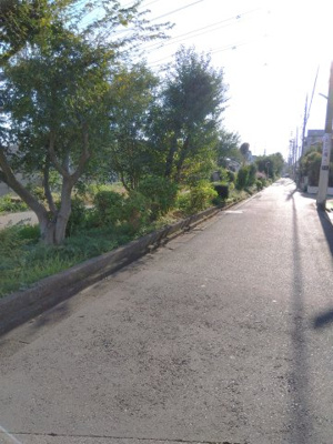 【周辺】 | 向原5丁目貸家 | 建物前の通りです。