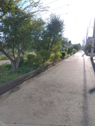 【周辺】 | 向原5丁目貸家 | 建物前の通りです。