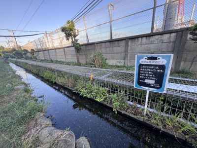  | 向原5丁目貸家 | 前面をながれる野火止用水