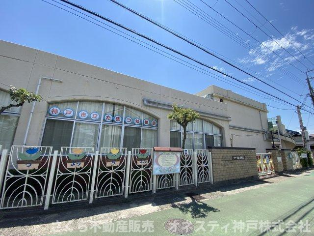 神戸市西区玉津町今津　中古戸建の周辺|神戸市立たまつ幼稚園：徒歩8分(約600ｍ)