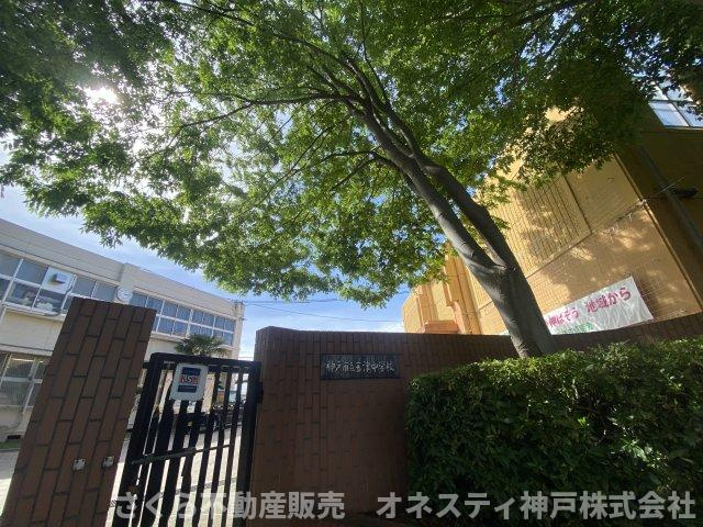 神戸市西区玉津町今津　中古戸建の周辺|神戸市立玉津中学校：徒歩12分(約920ｍ)