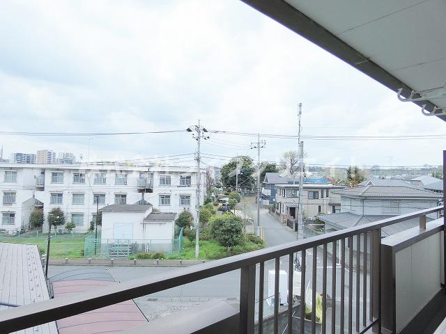 アムールオオカサの展望