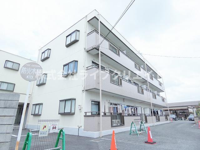 アムールオオカサ