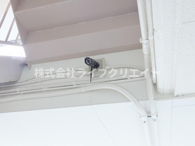 アムールオオカサのセキュリティ