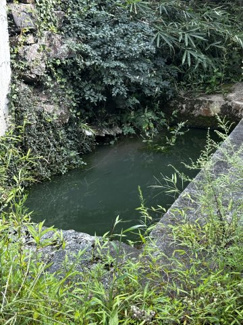 【設備】 | 滋賀県蒲生郡日野町安部居678,679　中古戸建 | 池