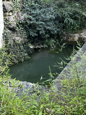 【設備】 | 滋賀県蒲生郡日野町安部居678,679　中古戸建 | 池