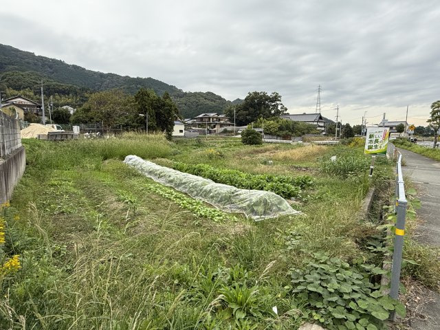 売土地　葛城市加守1,148㎡