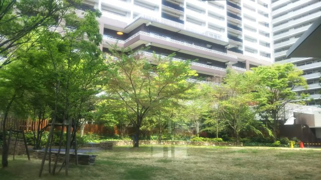 亀戸レジデンス　パーククロスフォートのその他共用部分|インナーガーデン！目の前にはカフェ等楽しめるカナルラウンジもございます！