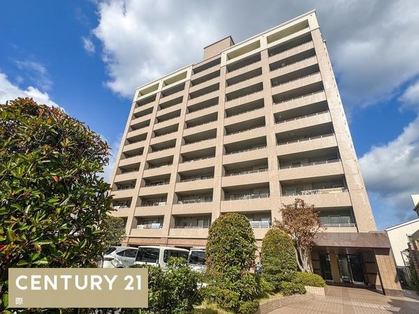 サーパス延時のその他