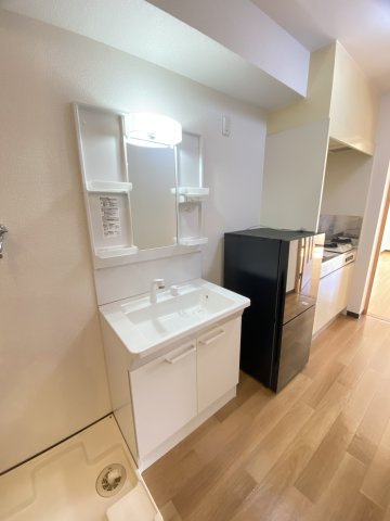 プライムハウスの洗面所|シャンプードレッサー