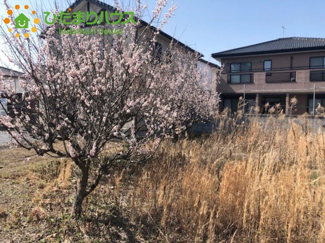 【その他】 | 水戸市元石川町　売地　99坪 | 建築条件はありません！お好きなハウスメーカーで建築できます☆