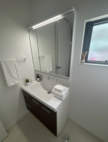 新築一戸建／ふじみ野市大井中央4丁目の独立洗面台|３面鏡の洗面台。