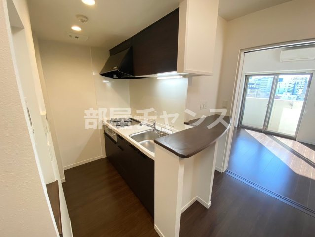 カスタリア新栄IIのキッチン