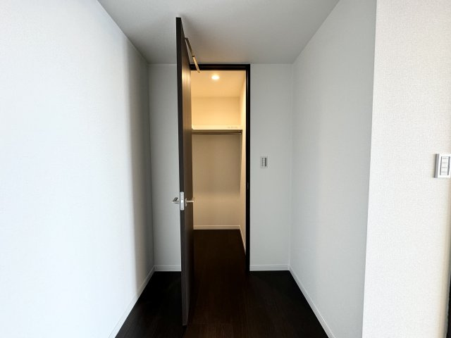 ワールドシティタワーズブリーズタワーの収納|洋室1