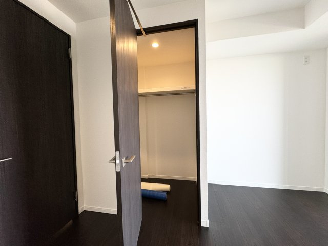 ワールドシティタワーズブリーズタワーの収納|洋室2