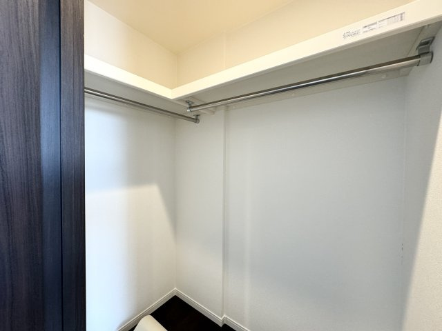 ワールドシティタワーズブリーズタワーの収納|洋室2