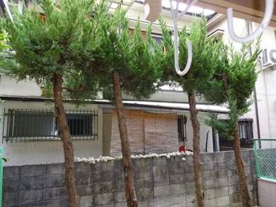 【展望】 | サンハイツ木多