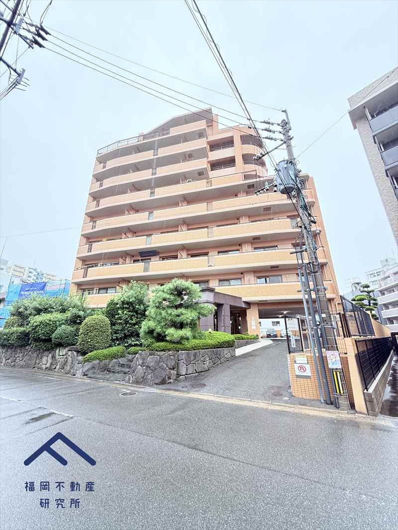 ダイアパレスグラン大橋の外観