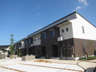 サン　フローラの画像