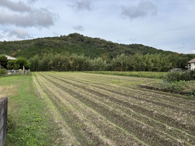 【外観】 | 丹波篠山市北野 土地1