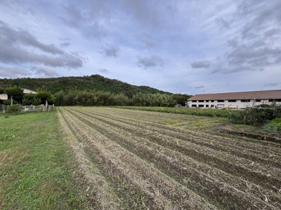 【外観】 | 丹波篠山市北野 土地1