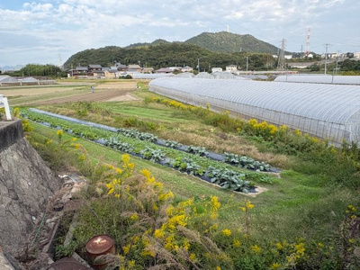 【外観】 | 兼田売地