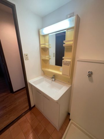 ロワジール山手の洗面所