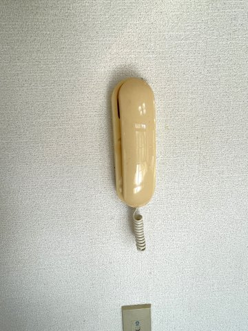 大網白里市北飯塚253-7貸家の設備|インターフォン