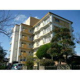 ＦＯＲＴＡＬＥＺＡの画像