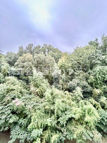 レ・ジェイド千里青山台の展望