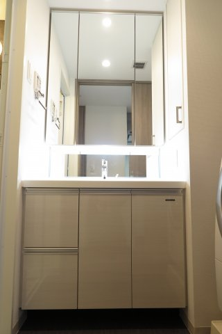 パークアクシス大阪新町の独立洗面台