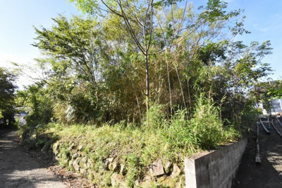 【外観】 | 隈之城町・中福良町字霧島 土地