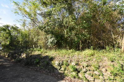 【外観】 | 隈之城町・中福良町字霧島 土地