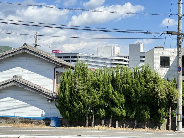 フォブールわげんの展望