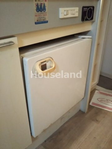 DSSビルアロチのその他