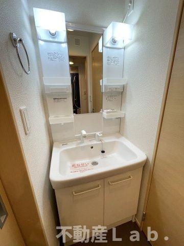 グレイスフル松山の洗面所