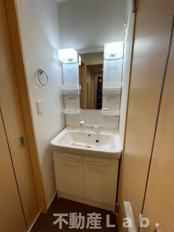 グレイスフル松山の洗面所