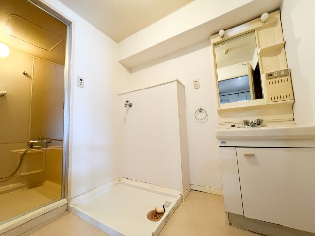 第３山崎マンションの洗面所