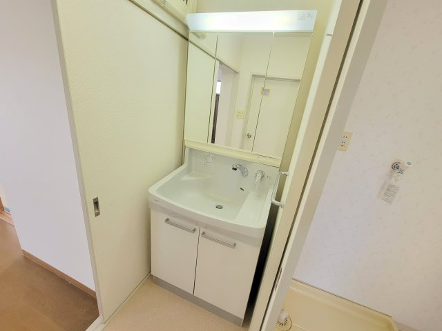 ロイヤル静和テラスハウスの独立洗面台