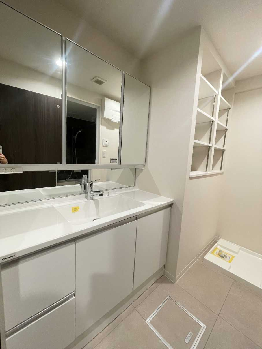 ザ・ステイツ志木パークステージの洗面所