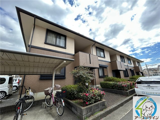 シャルマンイワイ