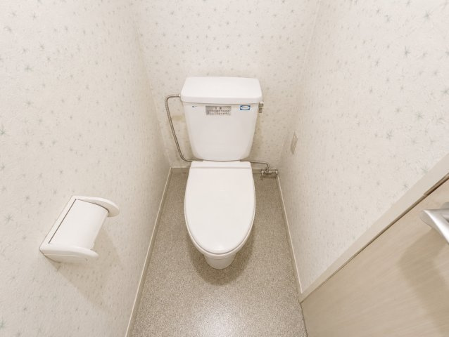 シーサイド・リゾート南房総貴賓館のトイレ|※画像の一部はAIを用いて加工・編集しています。実際の状況と異なる場合がありますので、ご了承下さい。