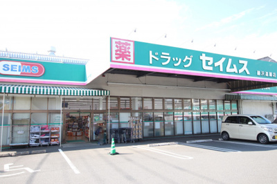 ドラッグセイムス藤沢遠藤店まで800ｍ