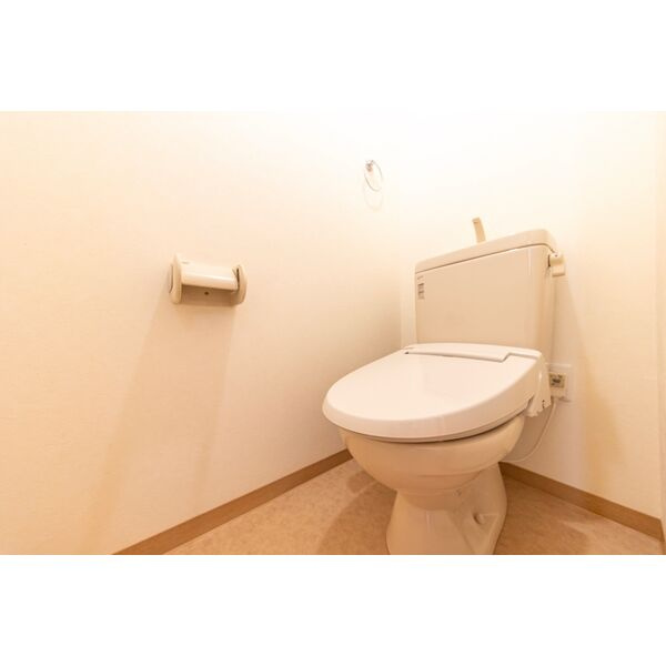 サン・friends藤島のトイレ