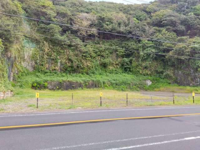 売土地　賀茂郡西伊豆町仁科の外観|緑豊かな場所にあります。自然を身近に感じる事が出来ます。